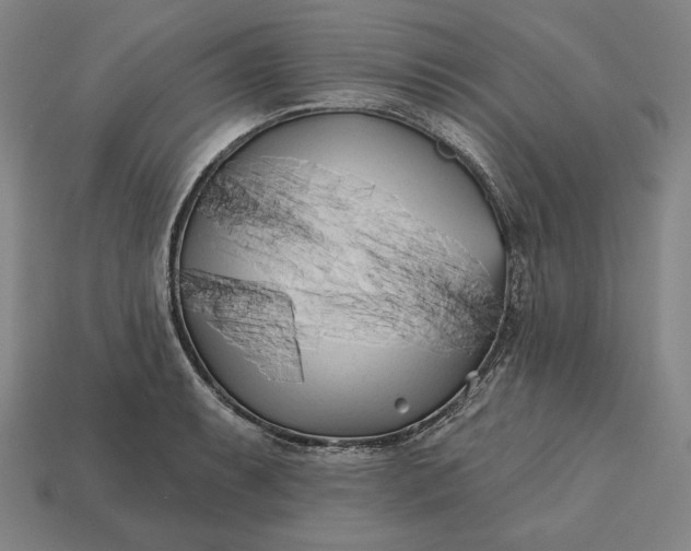 X0000113161087200909181806