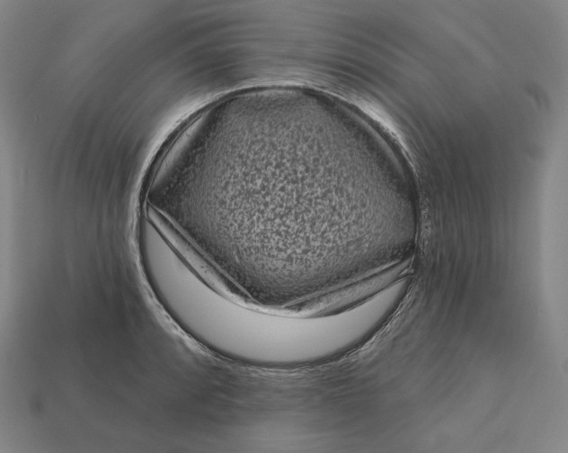 X0000113161088200909181806