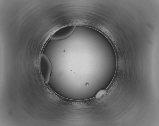 X0000113161089200909181806