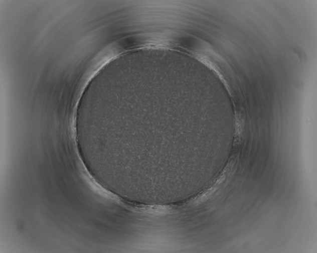 X0000113161090200909181806