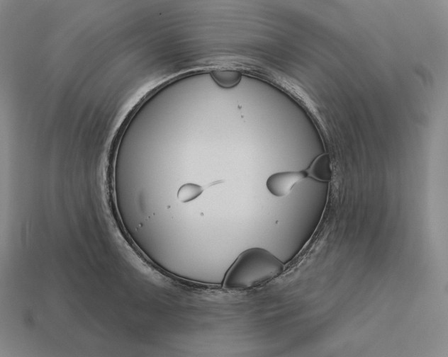 X0000113161091200909181806