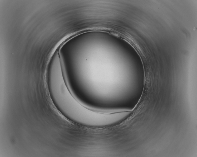 X0000113161092200909181806