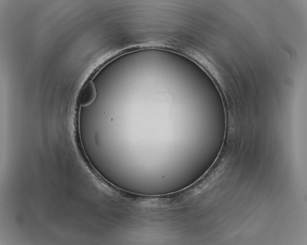 X0000113161093200909181806