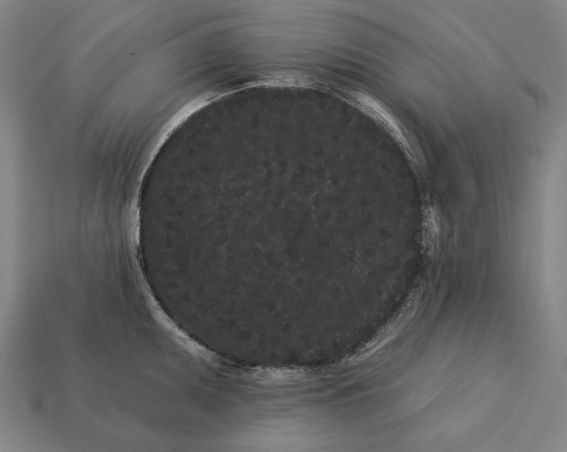 X0000113161095200909181806