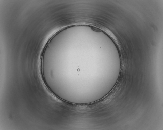 X0000113161096200909181806