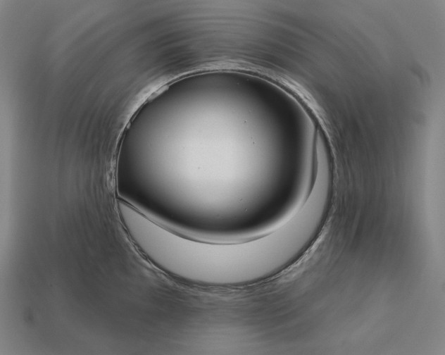 X0000113161097200909181806