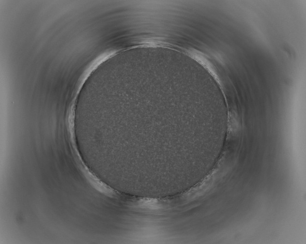 X0000113161098200909181806