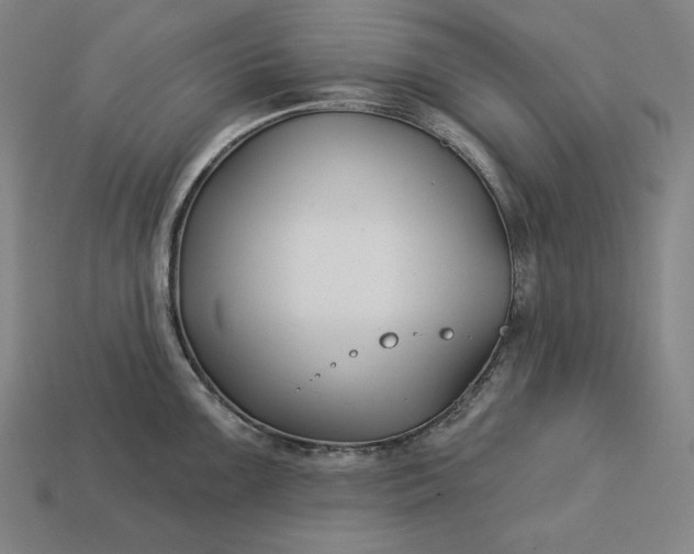 X0000113161099200909181806