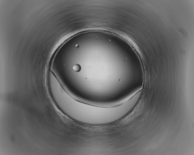 X0000113161101200909181806