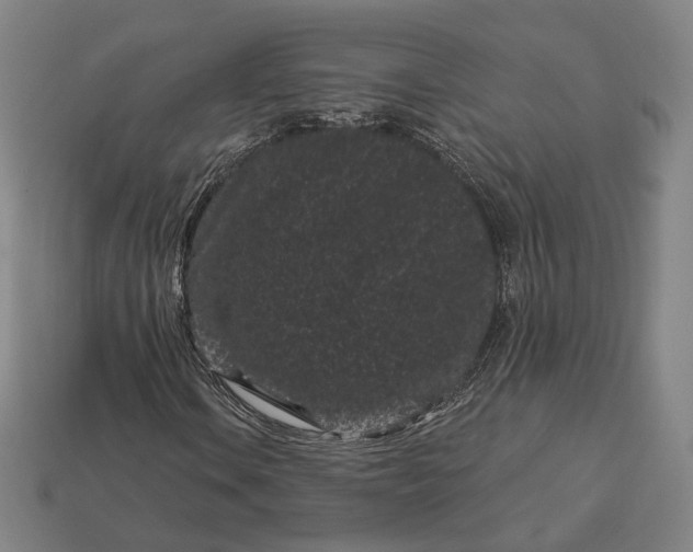 X0000113161106200909181805