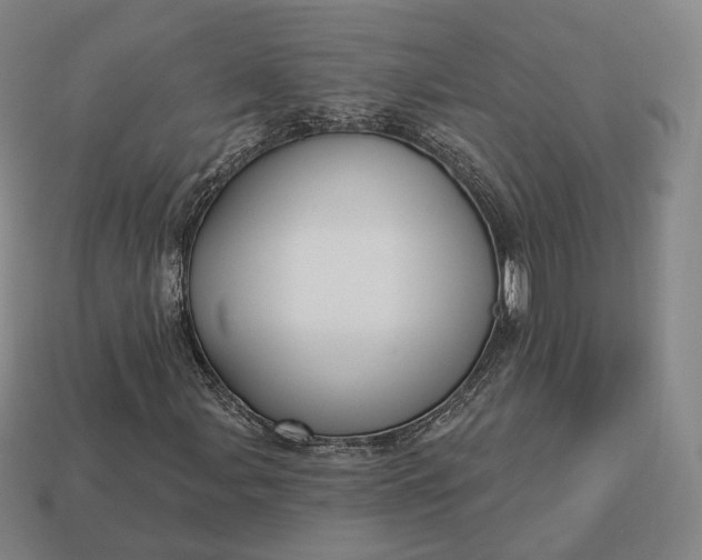 X0000113161107200909181805