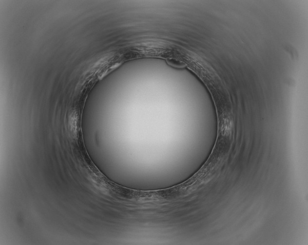 X0000113161108200909181805