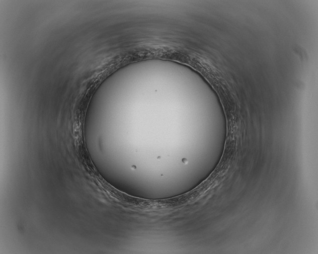 X0000113161109200909181805