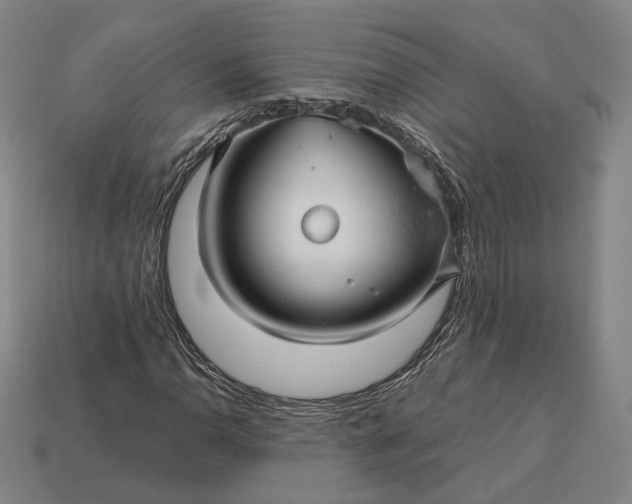 X0000113161110200909181805