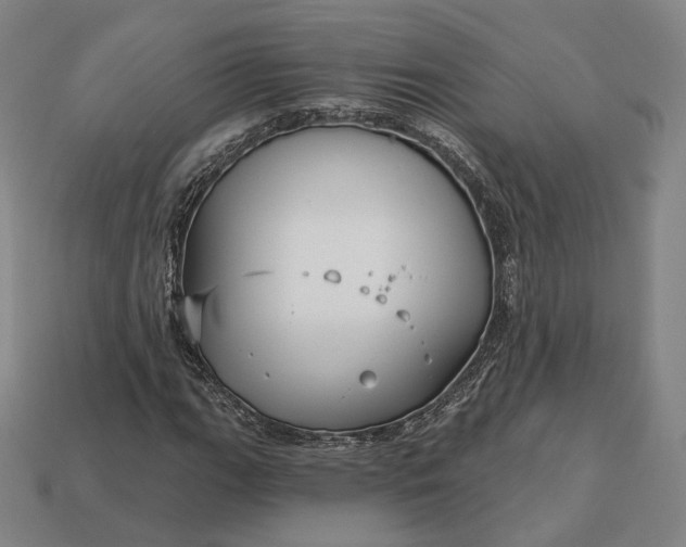 X0000113161111200909181805