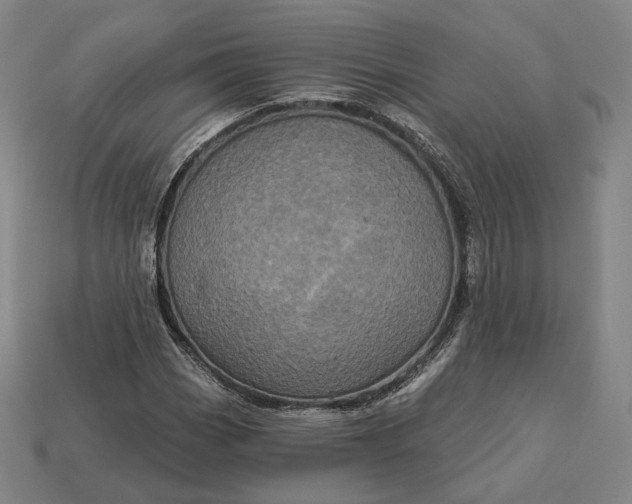 X0000113161113200909181805