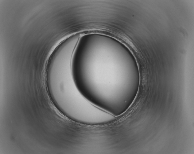 X0000113161116200909181805