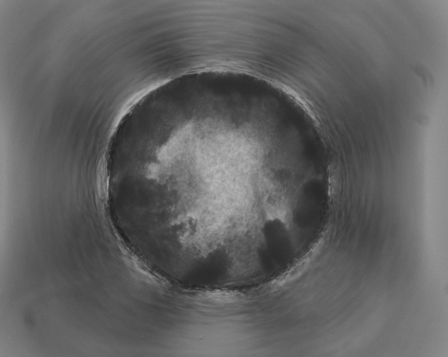 X0000113161117200909181805