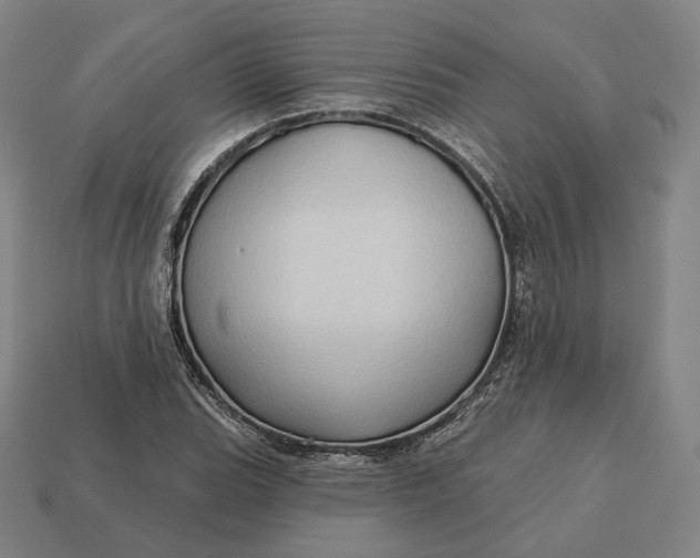 X0000113161119200909181805