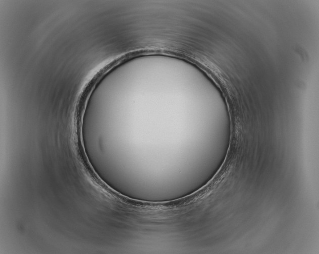 X0000113161120200909181805