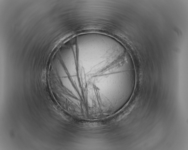 X0000113161121200909181805