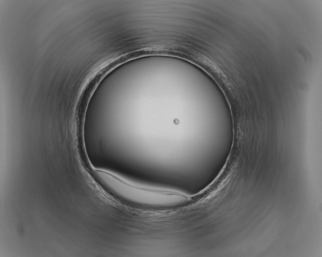 X0000113161122200909181806