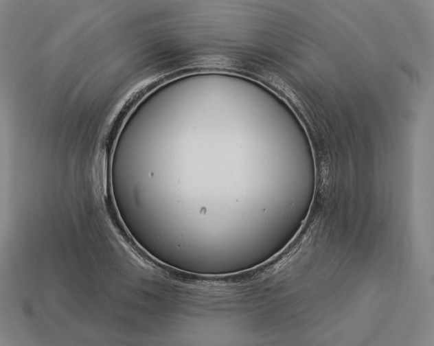 X0000113161123200909181806