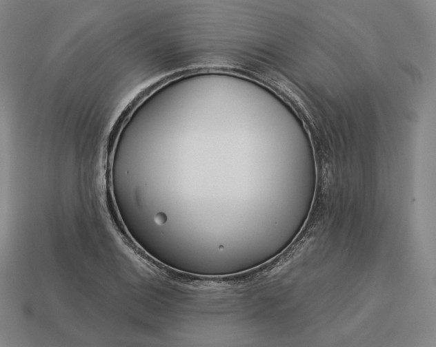 X0000113161124200909181806