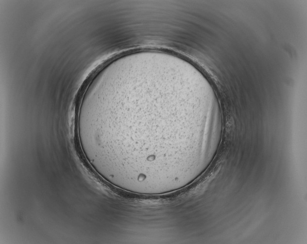 X0000113161126200909181806