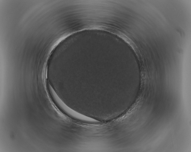 X0000113161127200909181806