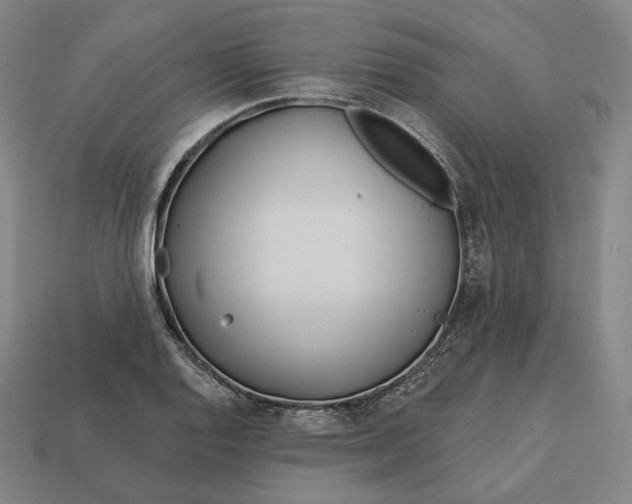 X0000113161128200909181806