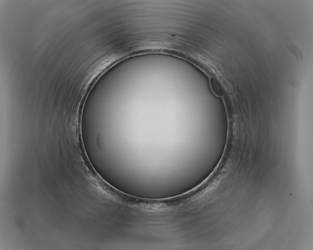 X0000113161129200909181806