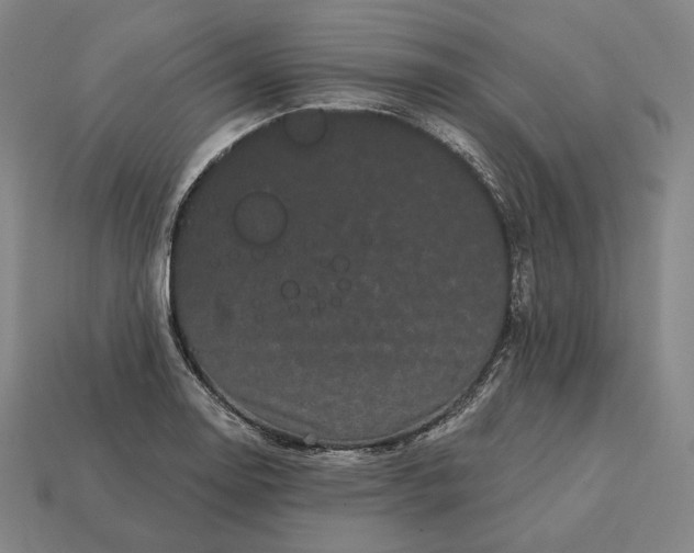 X0000113161130200909181806