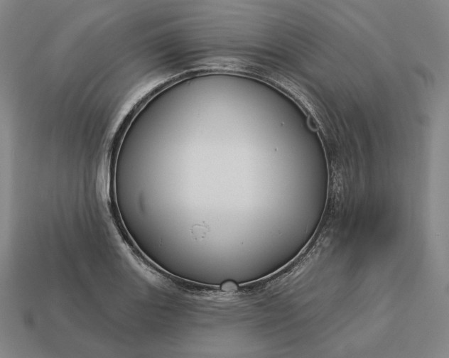 X0000113161131200909181806