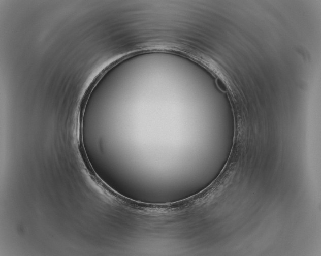 X0000113161132200909181806