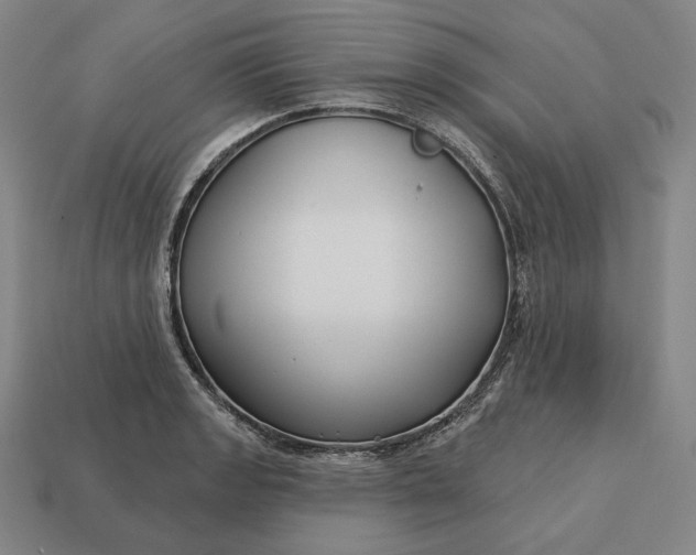 X0000113161133200909181806