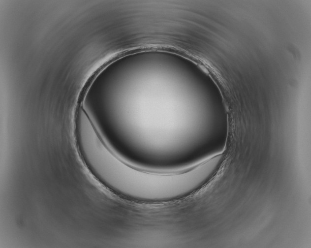 X0000113161134200909181806