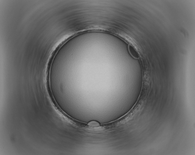 X0000113161135200909181806