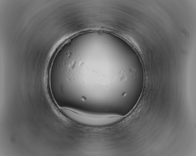 X0000113161136200909181806