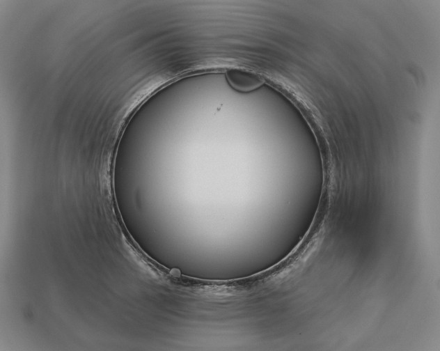 X0000113161137200909181806