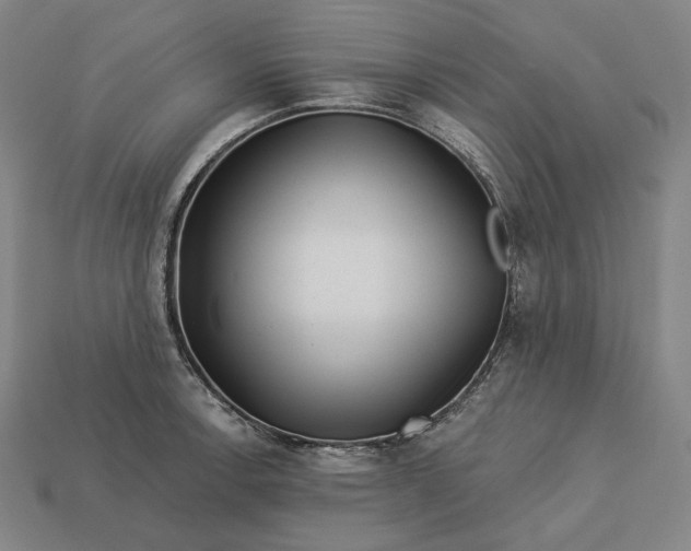 X0000113161138200909181806