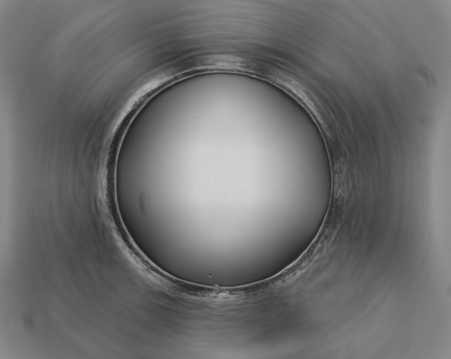 X0000113161139200909181806