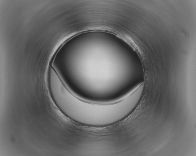 X0000113161140200909181806