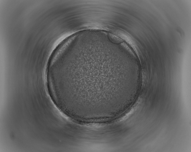 X0000113161141200909181806