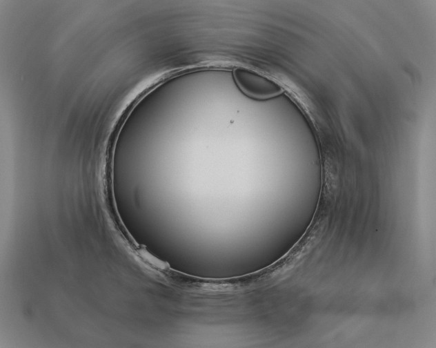 X0000113161142200909181806