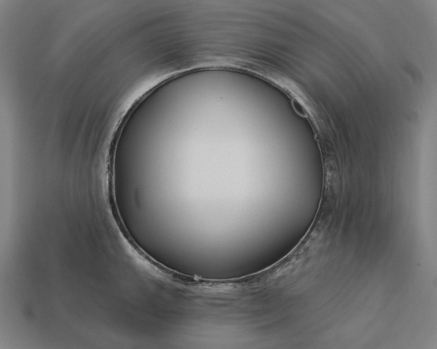 X0000113161143200909181806