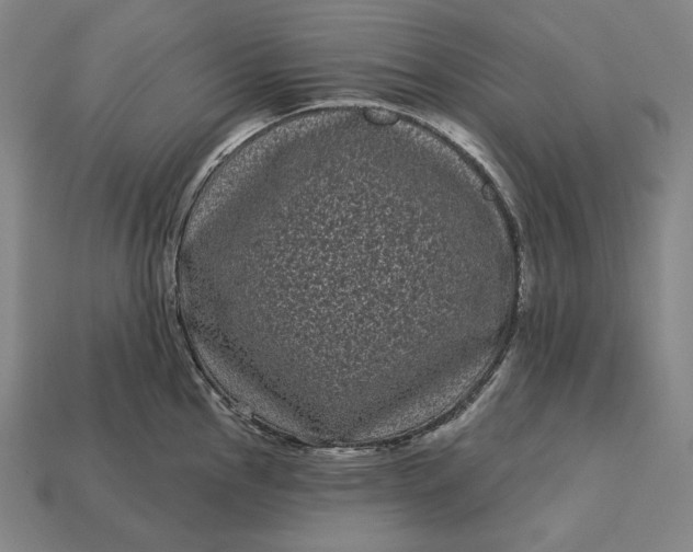 X0000113161145200909181806