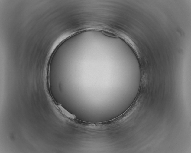 X0000113161146200909181806