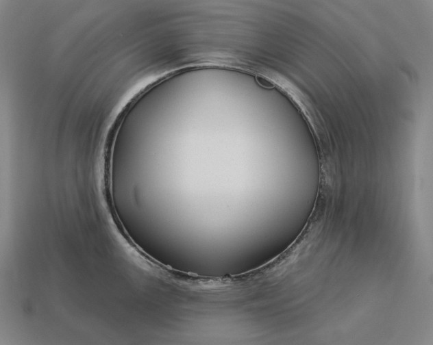 X0000113161147200909181806