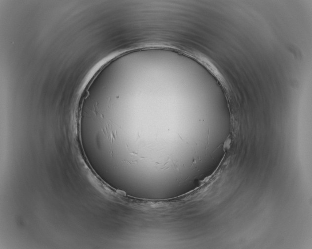 X0000113161148200909181806